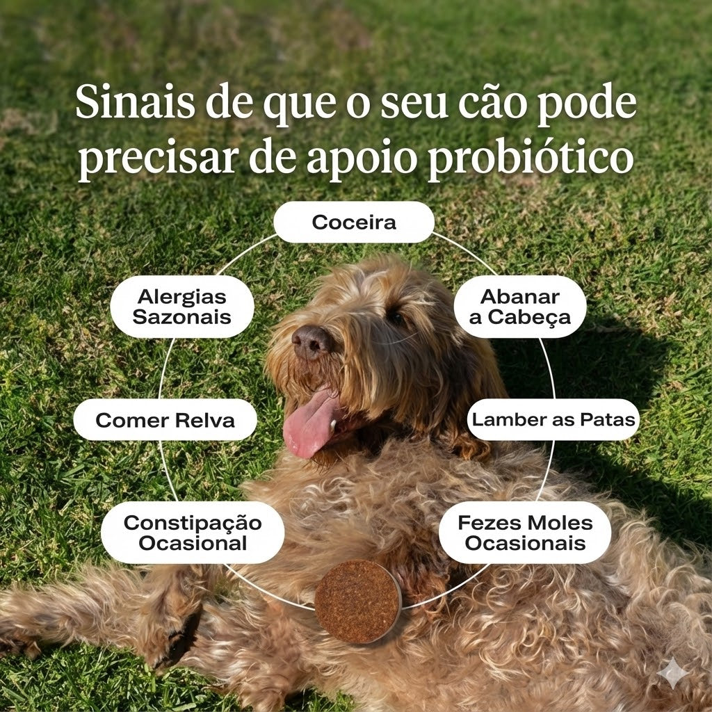 Probióticos em comprimidos mastigáveis macios para cães, para alergias sazonais, saúde intestinal e digestiva. Ingredientes de elevada qualidade, testados por veterinários.
