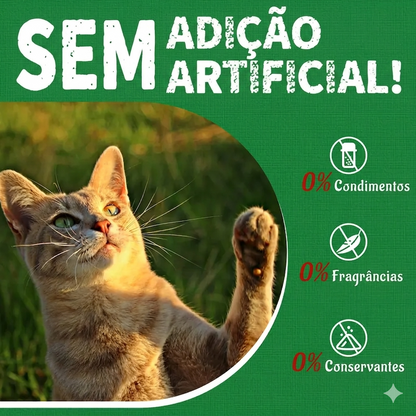 Snacks Naturais para Gatos – Sabor a Salmão com Catnip para o Controlo das Bolas de Pelo e Saúde Dentária (350g)