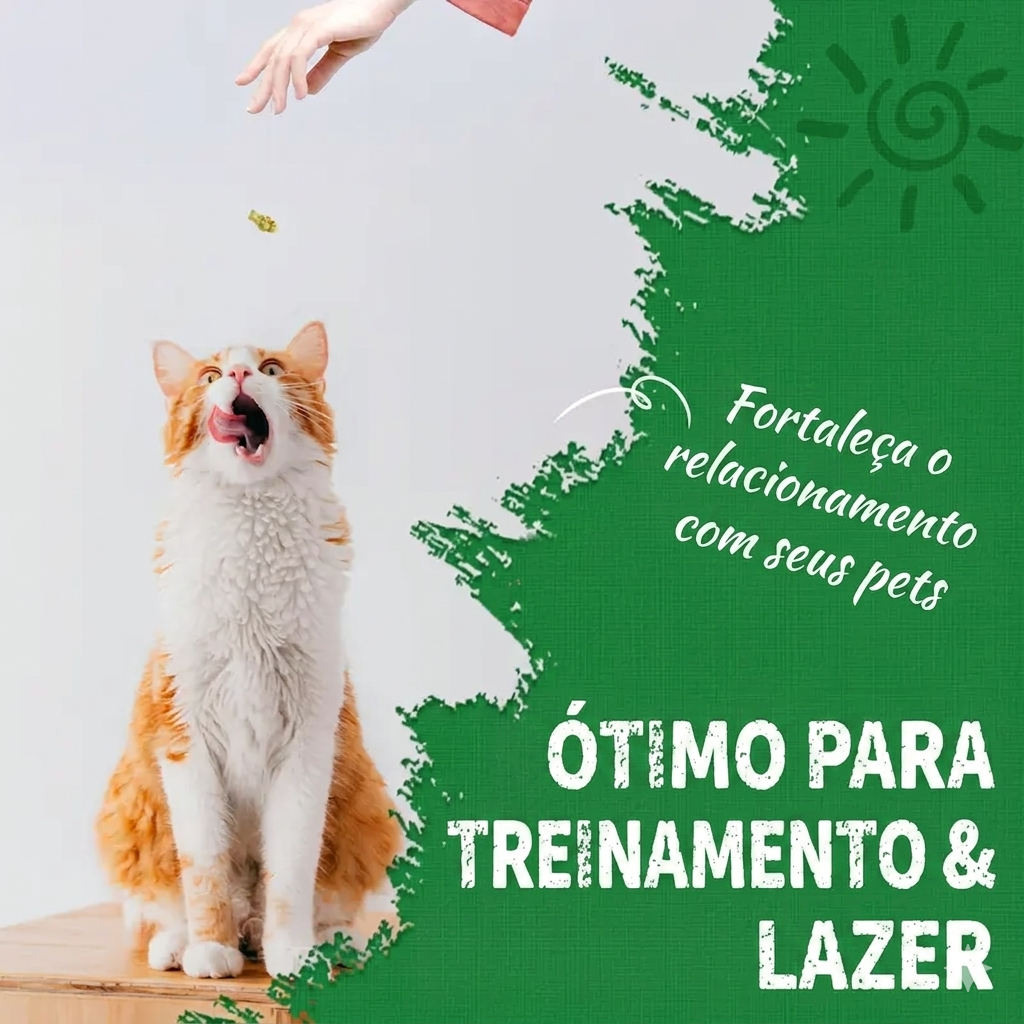 Snacks Naturais para Gatos – Sabor a Salmão com Catnip para o Controlo das Bolas de Pelo e Saúde Dentária (350g)