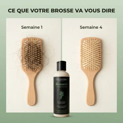 Champô de Alecrim e Queratina para um Cabelo Mais Espesso
