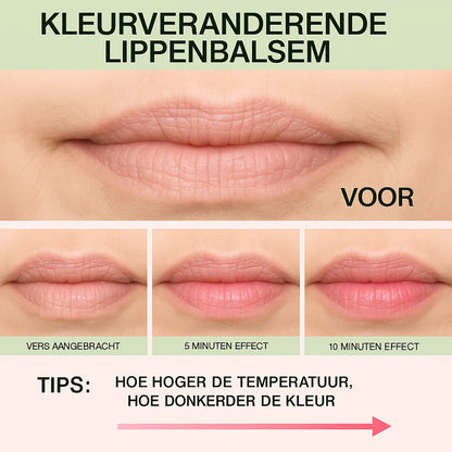 1+2 Grátis - Batom de Aloé Vera