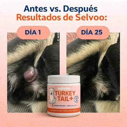 Nº 1 em Probióticos
