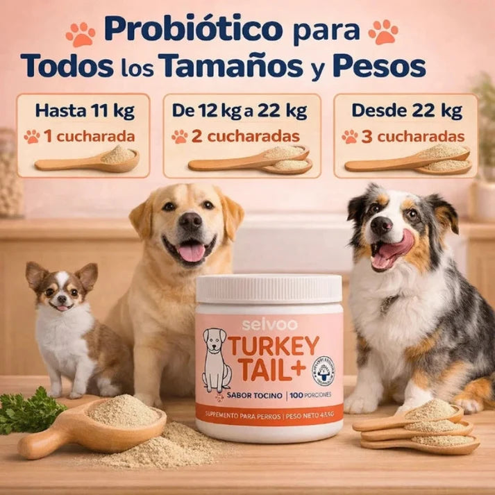Nº 1 em Probióticos