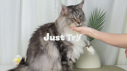 Snacks Naturais para Gatos – Sabor a Salmão com Catnip para o Controlo das Bolas de Pelo e Saúde Dentária (350g)